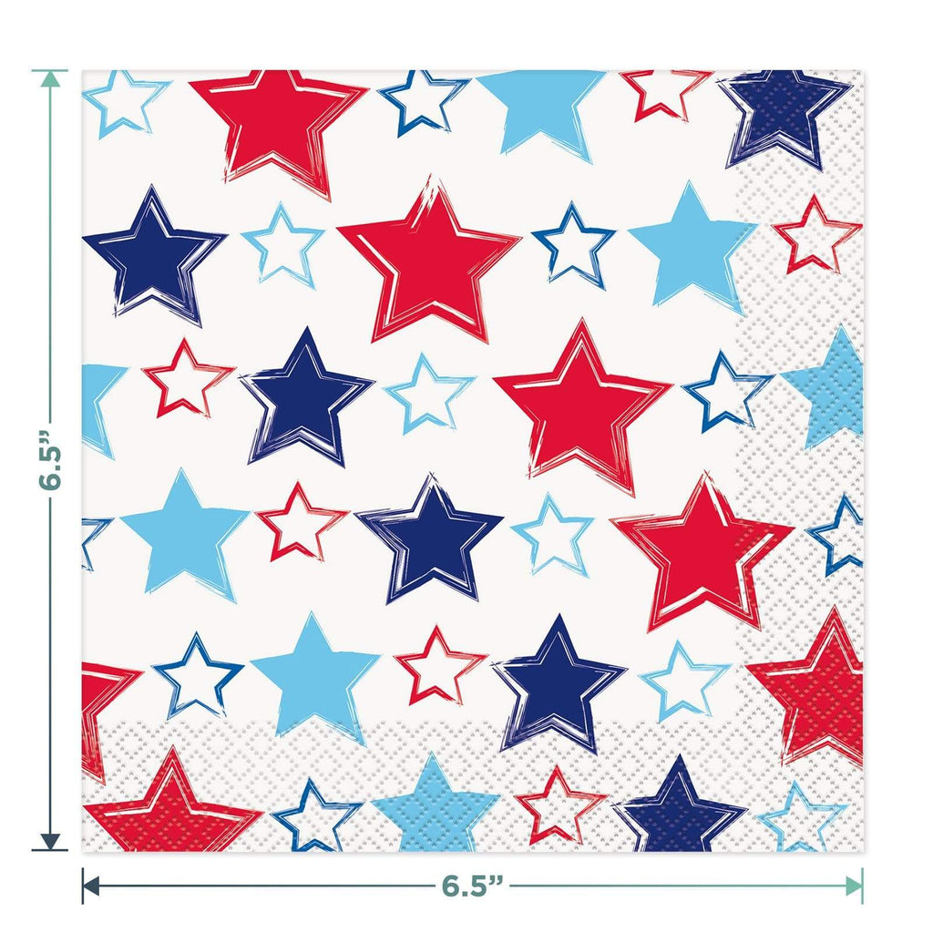 Patriotic Picnic Red Gingham Stars & Stripes Party Pack - Paper Dinner Plates, Napkins, Cups, Table Cover, and Banner Garland (Serves 16) party supplies