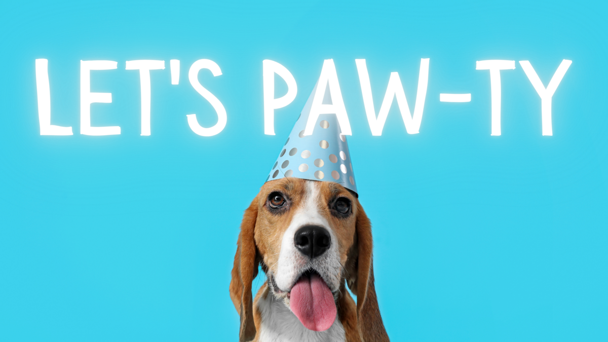 10 Tail-Wagging Dog Party Ideas to Celebrate Your Furry Friend! – Home ...