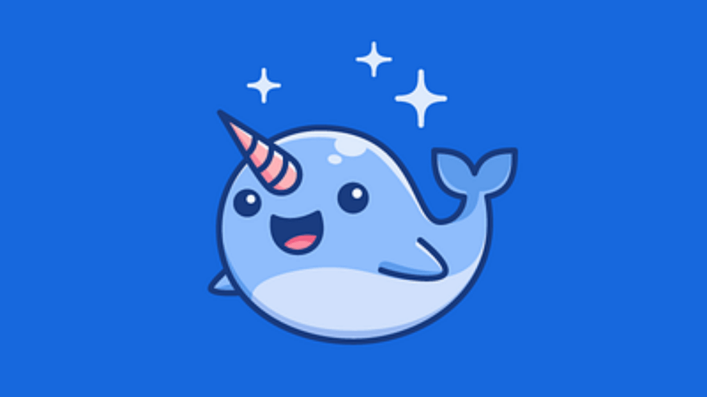 Narwhals party ideas