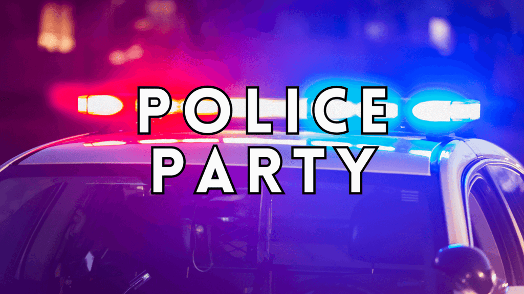 Police Party Ideas