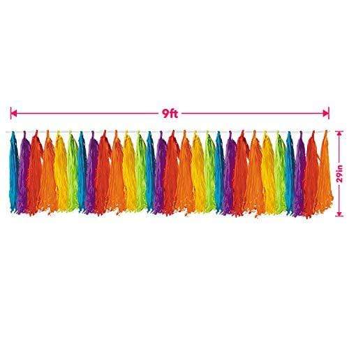 Rainbow Party Supplies - Large Ceiling Decoration and Tissue Fringe Table Skirt party supplies