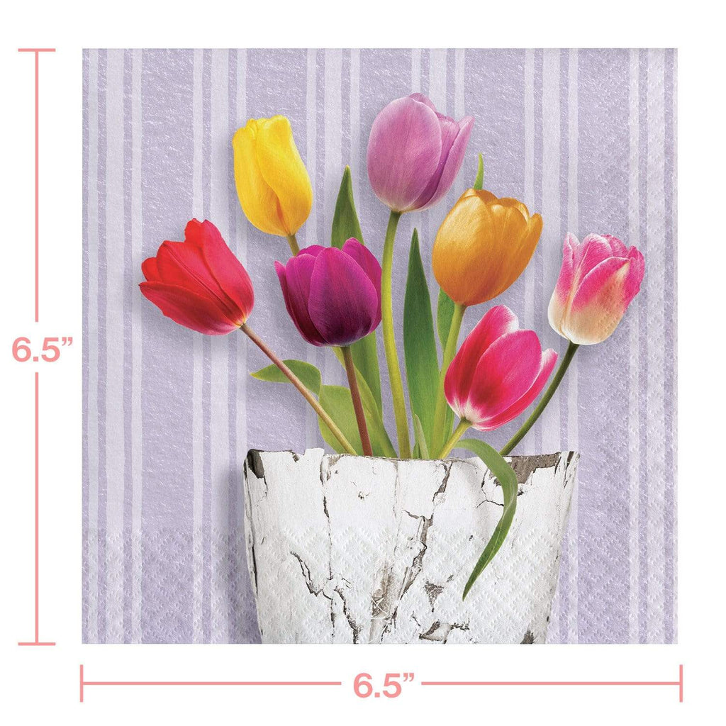 Spring Tulips Watering Can Paper Dinner Plates and Luncheon Napkins (Serves 16) party supplies
